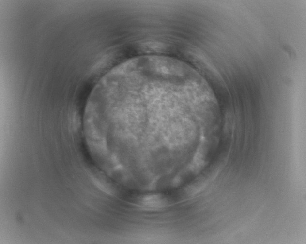 X0000115310173200911231337