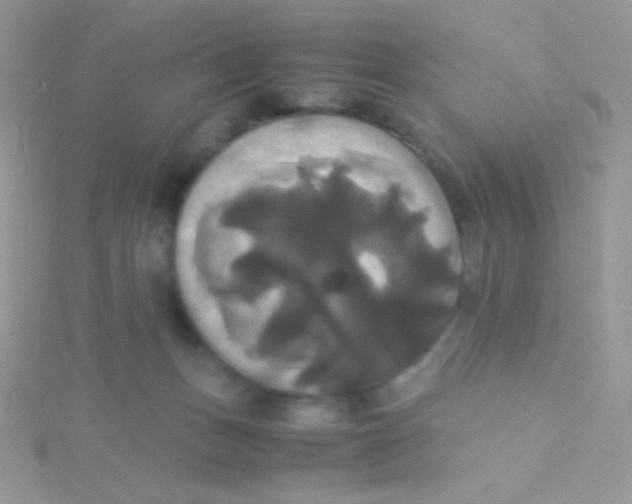 X0000115310175200911231337