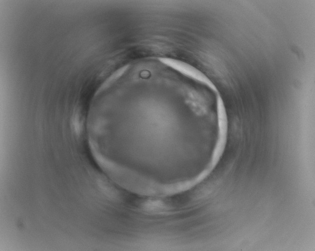 X0000115310177200911231337