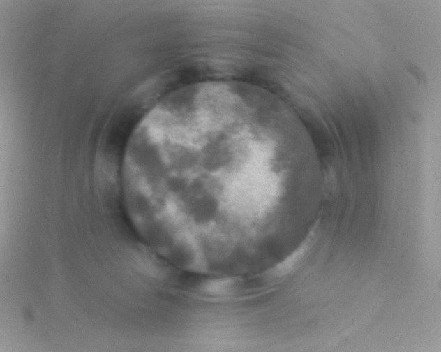 X0000115310178200911231337