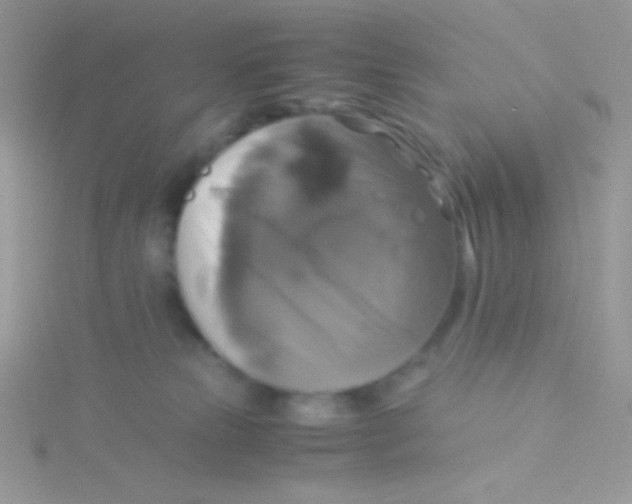 X0000115310181200911231337