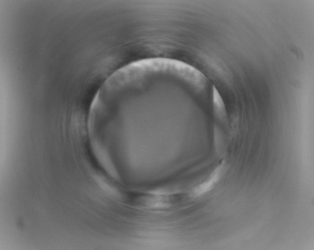 X0000115310182200911231337