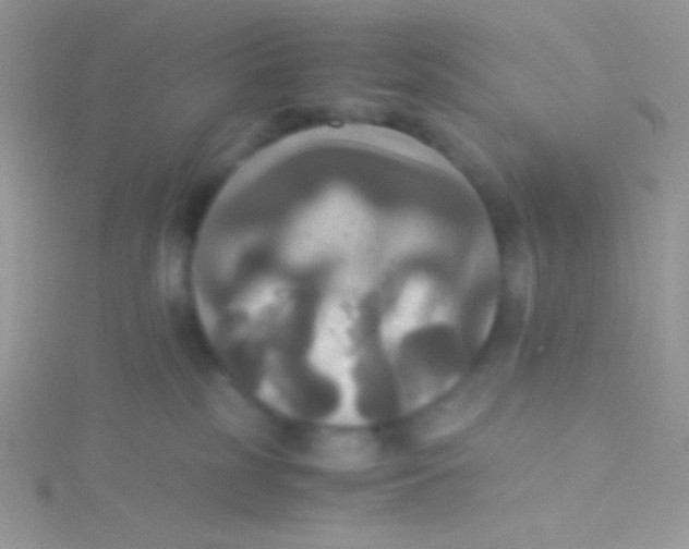 X0000115310185200911231337