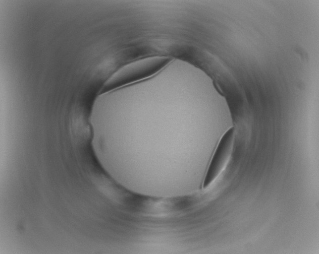 X0000115310186200911231337