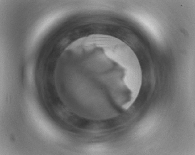 X0000115310189200911231337