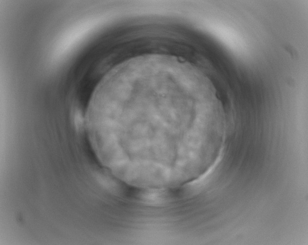 X0000115310191200911231337