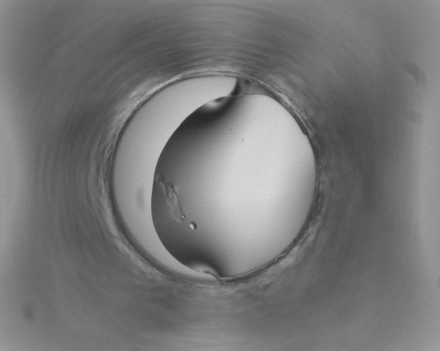 X0000115310193200911231337