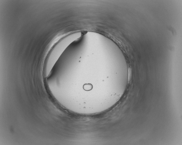 X0000115310195200911231337