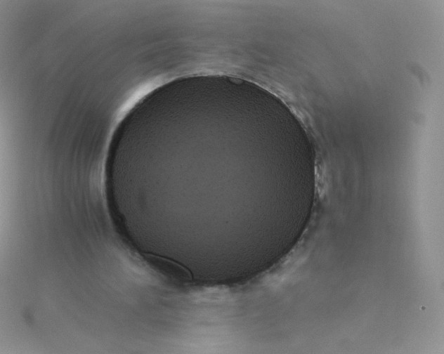 X0000115310196200911231337