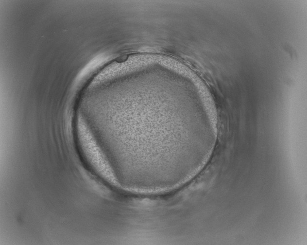 X0000115310197200911231337