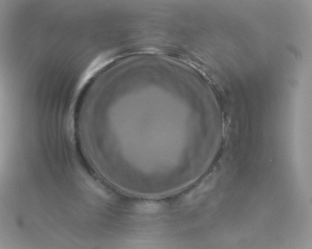 X0000115310198200911231337