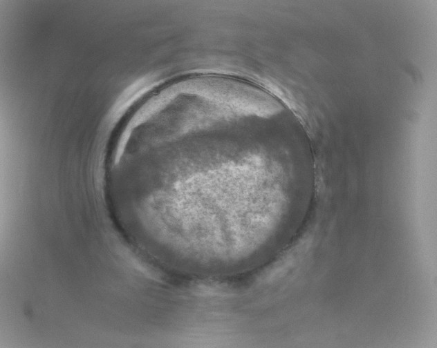 X0000115310199200911231337