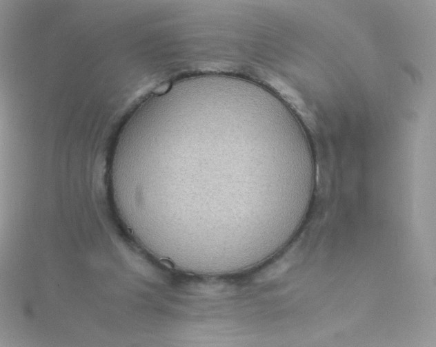 X0000115310201200911231337