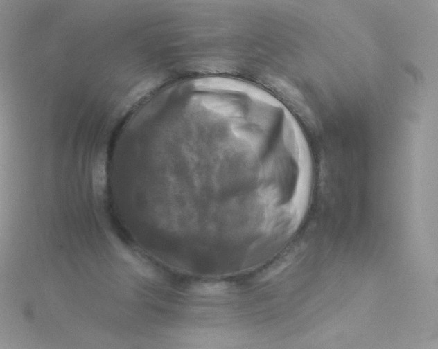 X0000115310202200911231337