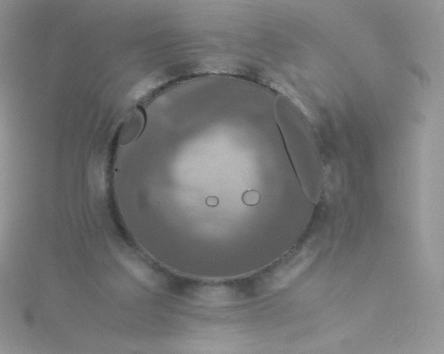 X0000115310203200911231337