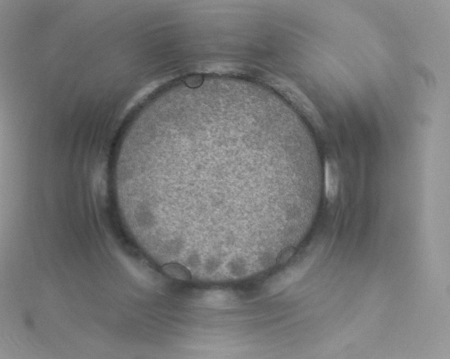 X0000115310204200911231337