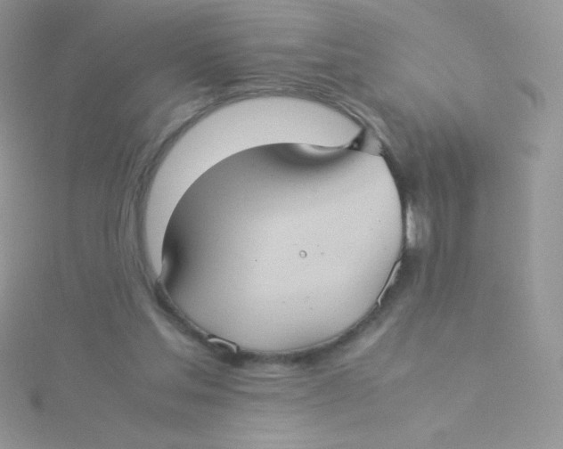 X0000115310205200911231336