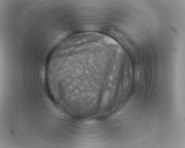 X0000115310206200911231336