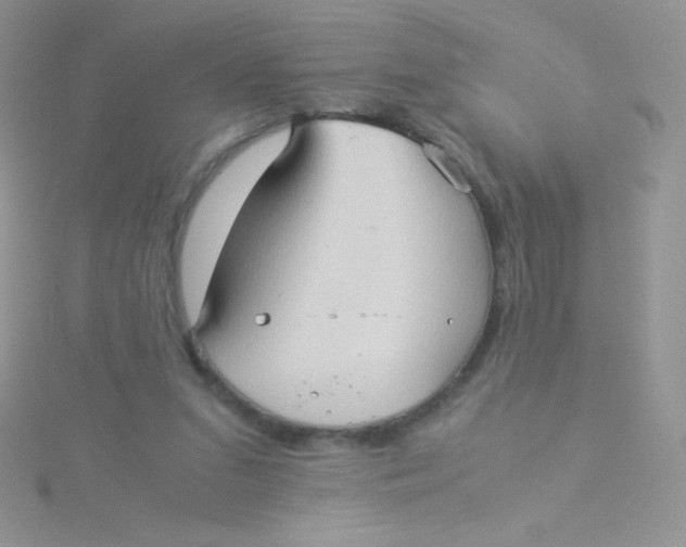 X0000115310207200911231336