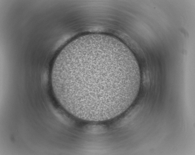 X0000115310208200911231336