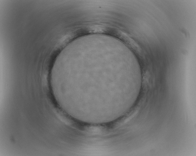 X0000115310209200911231336