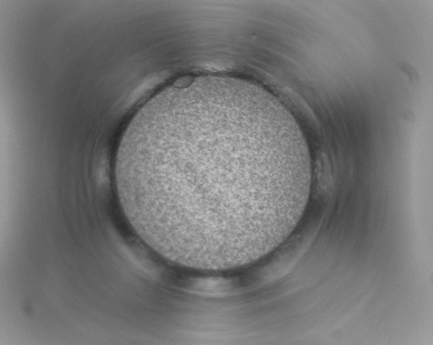 X0000115310212200911231336