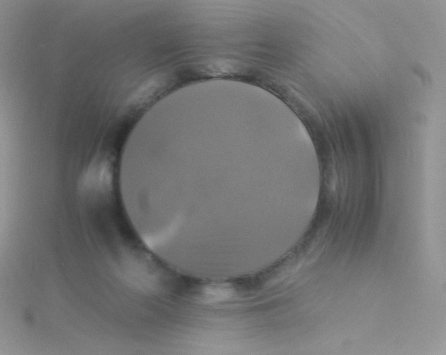 X0000115310214200911231336