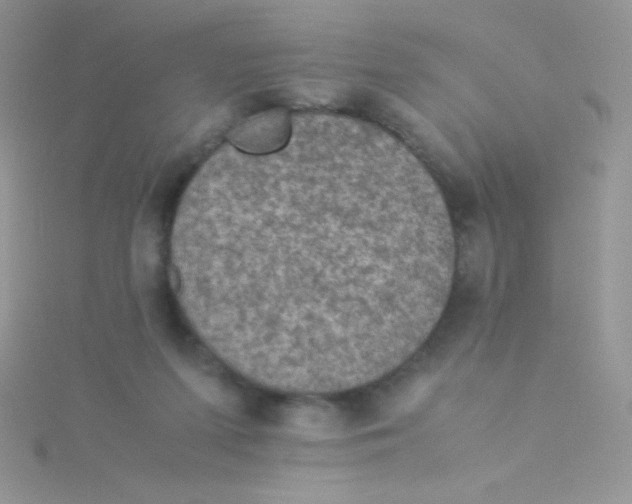 X0000115310215200911231336