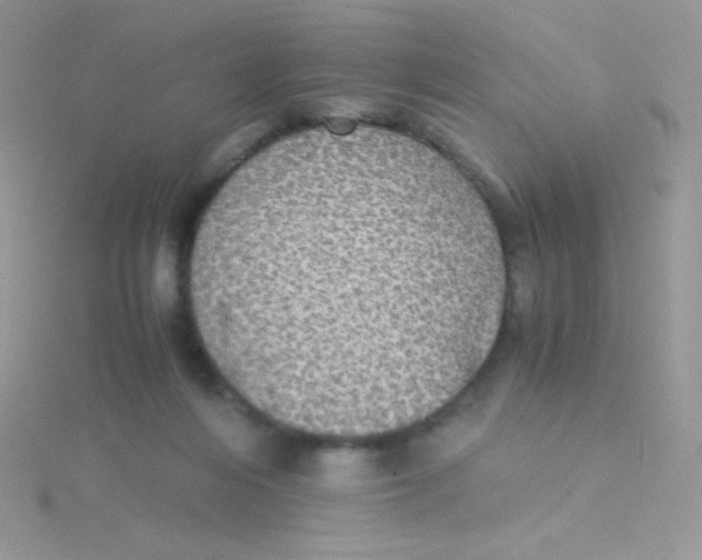 X0000115310216200911231336