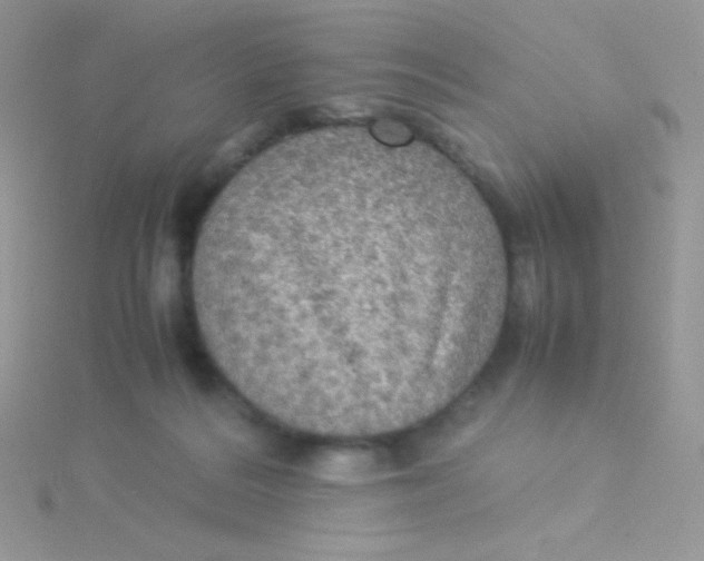 X0000115310220200911231336