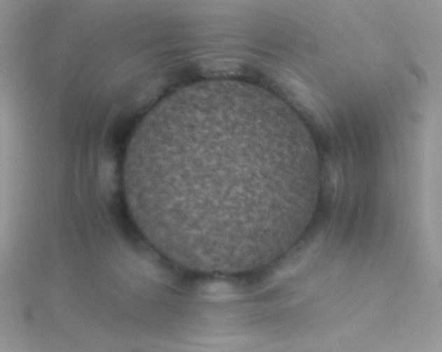 X0000115310224200911231336