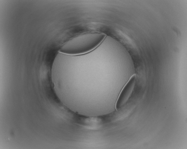 X0000115310225200911231336