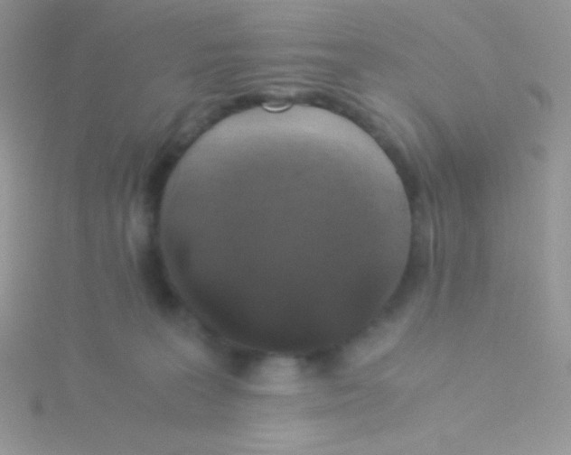 X0000115310227200911231336