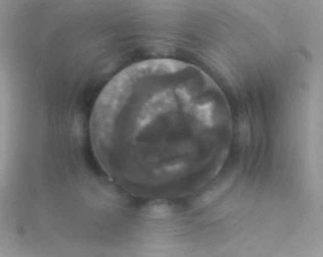 X0000115310228200911231336