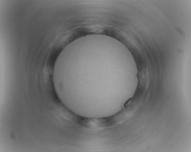 X0000115310229200911231336