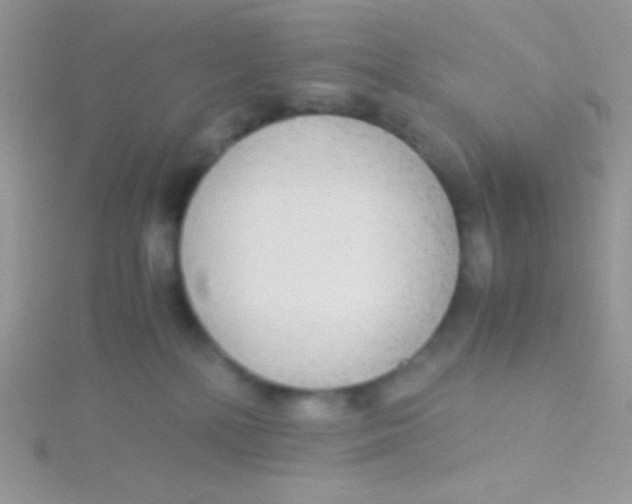 X0000115310232200911231336