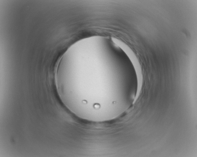 X0000115310235200911231336