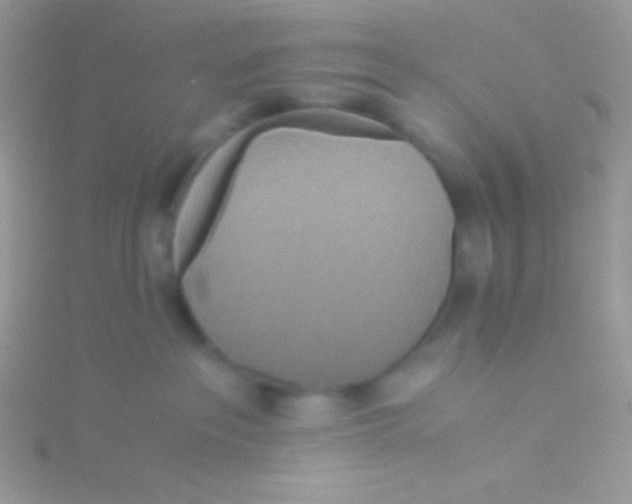 X0000115310237200911231336