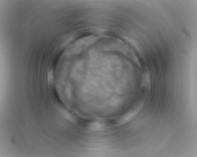 X0000115310238200911231336