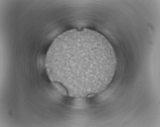 X0000115310240200911231336