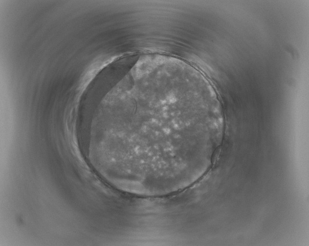 X0000115310241200911231335