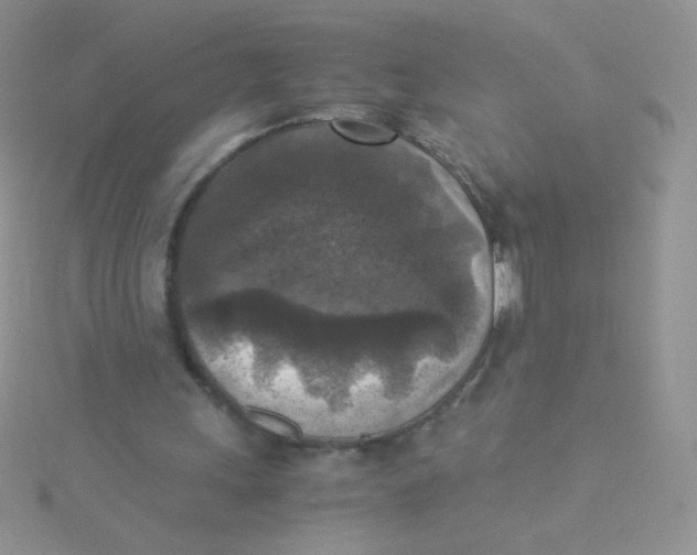 X0000115310243200911231335