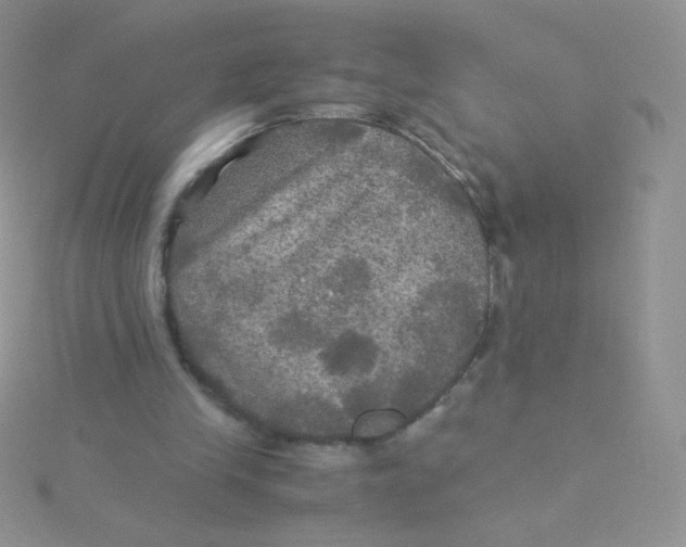 X0000115310245200911231335