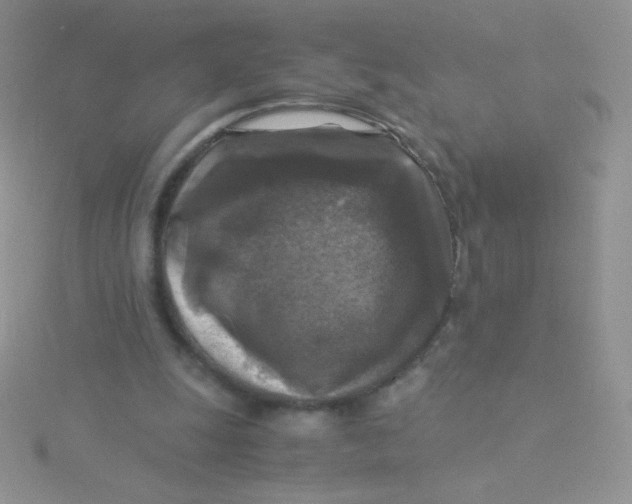 X0000115310247200911231335