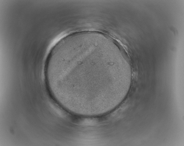 X0000115310248200911231335