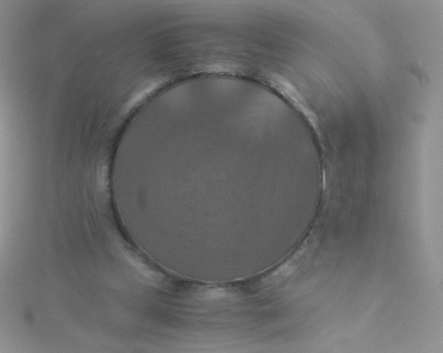 X0000115310249200911231335