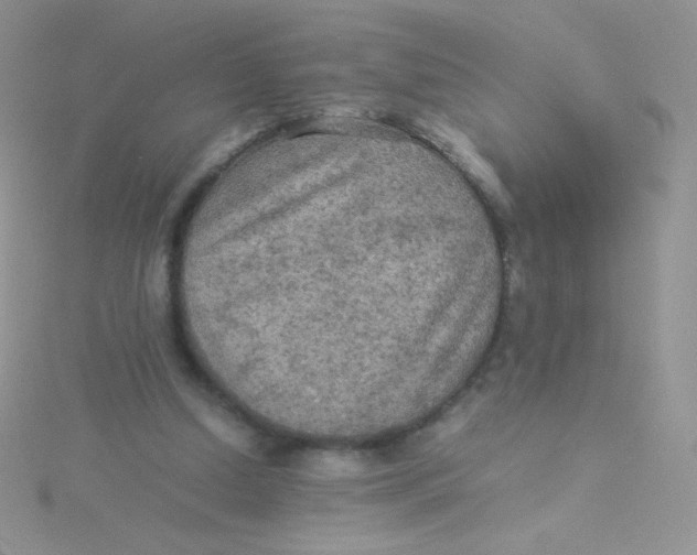 X0000115310250200911231335