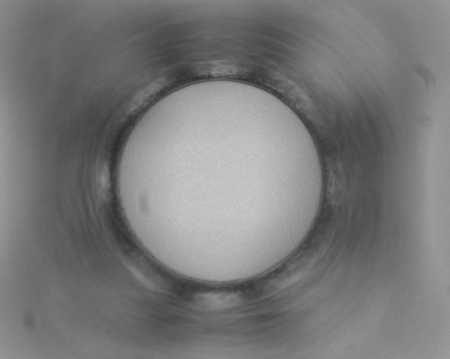 X0000115310251200911231335