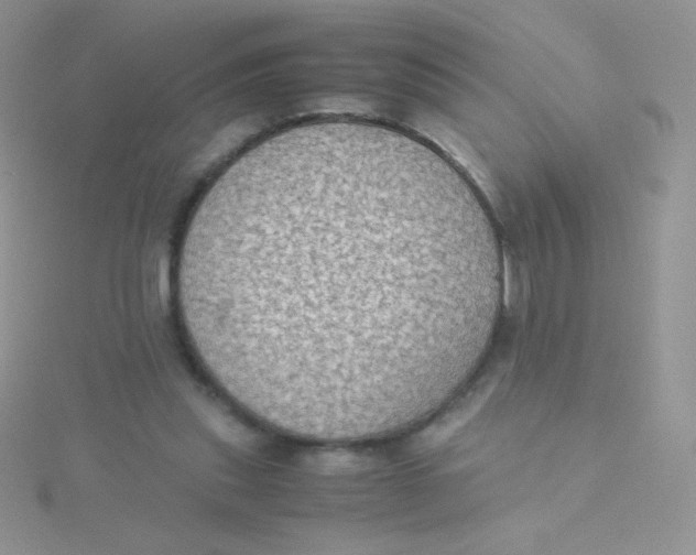 X0000115310253200911231335