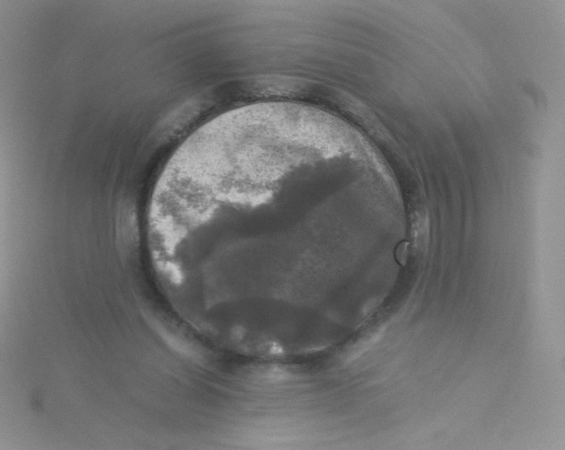 X0000115310254200911231335